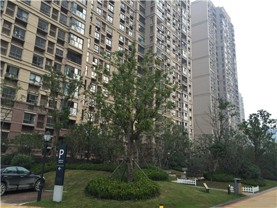 ���Ѕ^(q��) ����Ӻ�A����Ӻ�л��@��